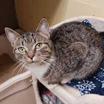 Thumbnail photo of Brittany #4