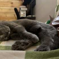 Thumbnail photo of Blake #1