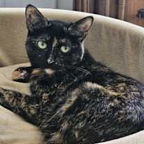 Thumbnail photo of Meadow #1