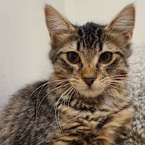 Thumbnail photo of Xandra24 #1