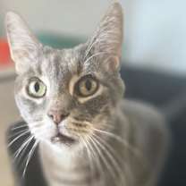 Thumbnail photo of Bootsy #1