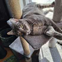 Thumbnail photo of Bootsy #2