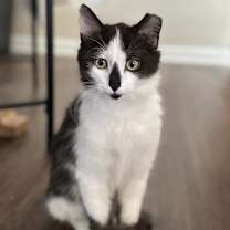 Thumbnail photo of Jacqueline SC #1