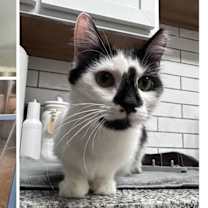 Thumbnail photo of Jacqueline SC #2