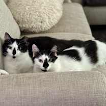 Thumbnail photo of Jacqueline SC #3