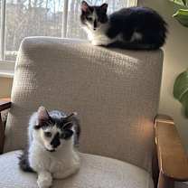 Thumbnail photo of Jacqueline SC #4