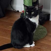 Thumbnail photo of Ruby #1