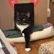 Thumbnail photo of Ruby #2