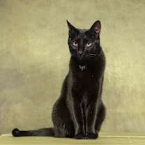 Thumbnail photo of 🔥 Logan love 💕 #1