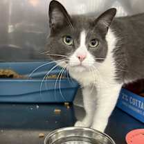 Thumbnail photo of Lake #1