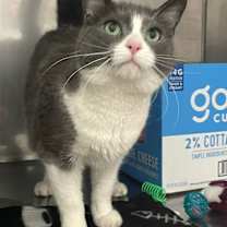 Thumbnail photo of Lake #2