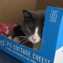 Thumbnail photo of Lake #4