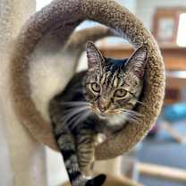 Thumbnail photo of Jackson #1