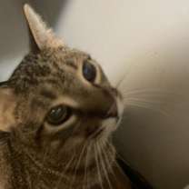 Thumbnail photo of Squiggy #1