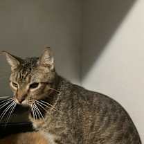 Thumbnail photo of Squiggy #4