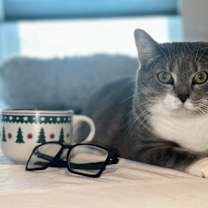 Thumbnail photo of SUMMER #1