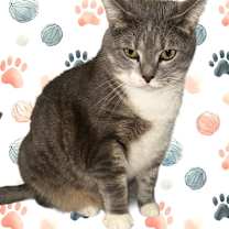 Thumbnail photo of SUMMER #2