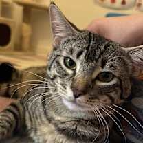 Thumbnail photo of Eric #1