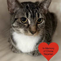 Thumbnail photo of Kiara #1