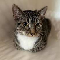 Thumbnail photo of Kiara #2