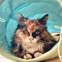 Thumbnail photo of Sunshine #3