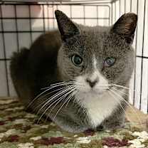 Thumbnail photo of Vanita Vodges #2