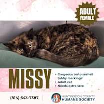Thumbnail photo of Missy #2