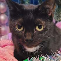 Thumbnail photo of Tina #1