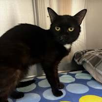 Thumbnail photo of Tina #2
