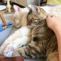 Thumbnail photo of Raisinette #2