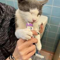 Thumbnail photo of Mercy #2