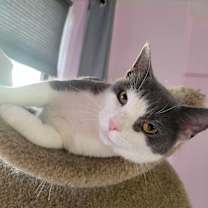 Thumbnail photo of Mercy #4