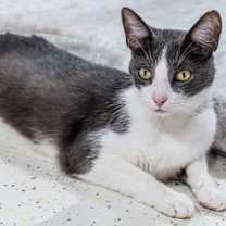 Thumbnail photo of Spencer #4