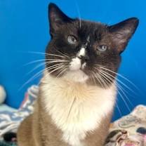 Thumbnail photo of Ross #4