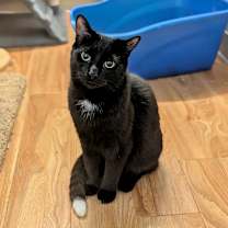 Thumbnail photo of CJ #1