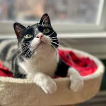 Thumbnail photo of Geraldine #1