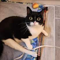 Thumbnail photo of Geraldine #2