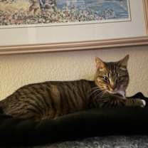 Thumbnail photo of Raja #1