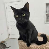 Thumbnail photo of Meep #4