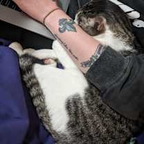 Thumbnail photo of Pimento #4