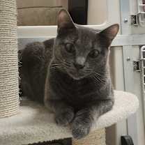 Thumbnail photo of Jackie #1