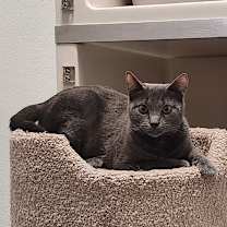 Thumbnail photo of Jackie #4