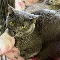 Thumbnail photo of Chance #1