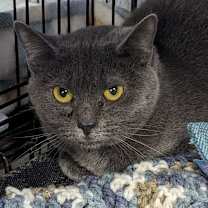 Thumbnail photo of Chance #2