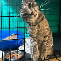 Thumbnail photo of Cameron #1