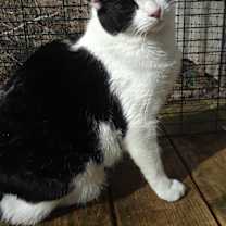 Thumbnail photo of Courage #2