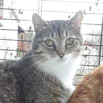 Thumbnail photo of Whisper #1