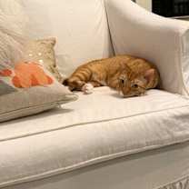 Thumbnail photo of Duncan #1