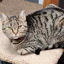 Thumbnail photo of Lucy #1