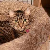 Thumbnail photo of Lucy #2